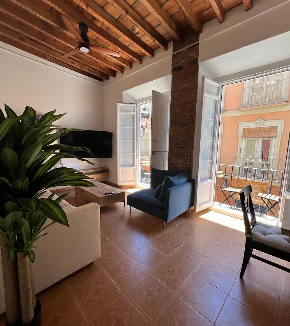 Casa Naty, Espacioso Renovado Apartamento En El Centro De Malaga 0*,  Spain